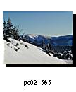 pc021565