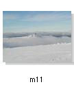 m11