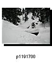 p1191700