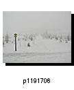 p1191706