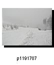 p1191707