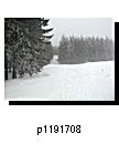 p1191708