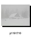 p1191710