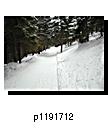 p1191712