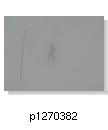 p1270382