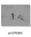 p1270383