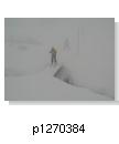 p1270384