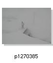 p1270385