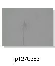 p1270386