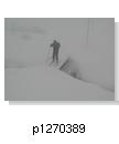 p1270389