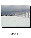 pc271661