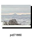 pc271668