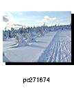 pc271674