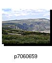p7060659