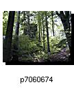 p7060674