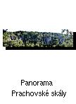 Panorama Prachovské skály