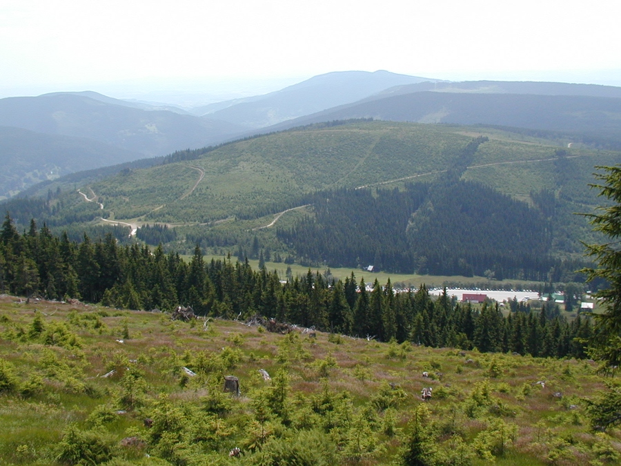 p7060647