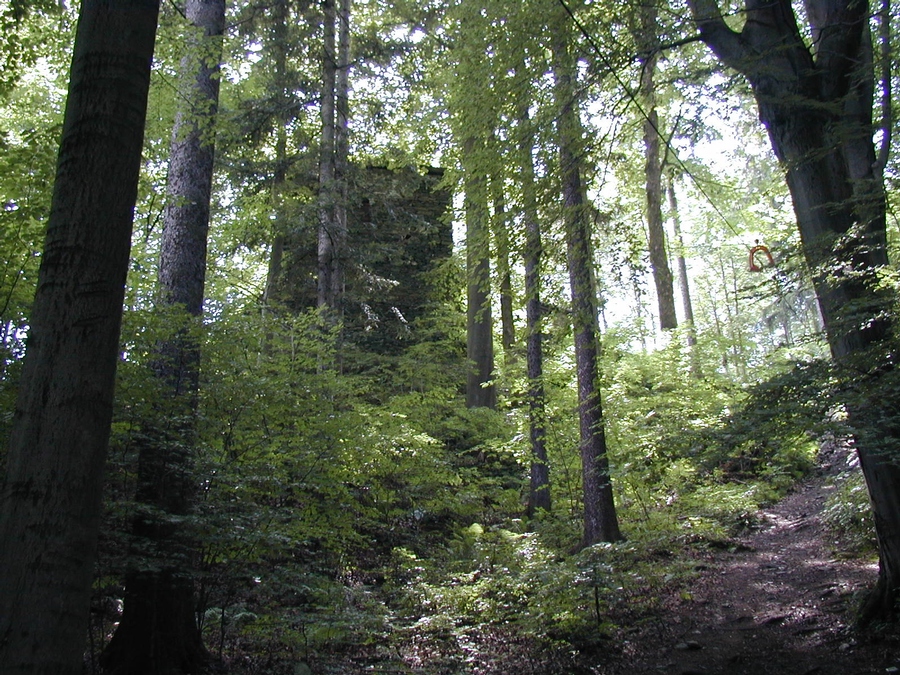 p7060674