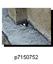 p7150752