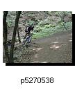 p5270538