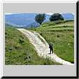 Cestou do Jagodiny
