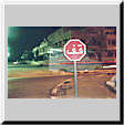 (0613) Arabská stopka - sáně
