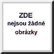 Žádné obrázky

