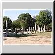 Olympie

